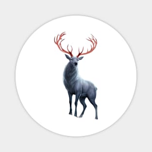 Depicts a Stag with Notably Large and Intricate Antlers Magnet